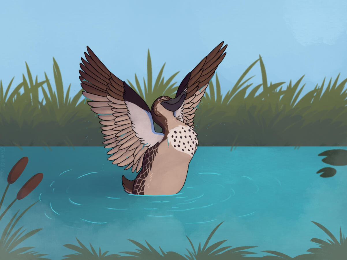 Misty the duck, my character